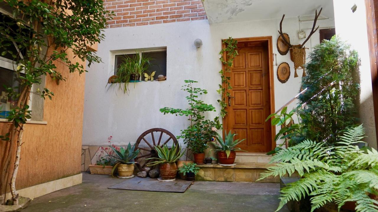 Pamir Guest House Šipkovo Exteriér fotografie